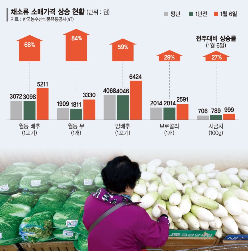 배추·무 등 성수품 공급 1.6배 늘리고 수급상황 매일 점검 [설연휴 민생 대책]