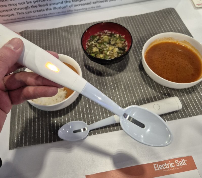 일본 맥주회사인 기린 홀딩스가 개발한 '일렉트릭 솔트 스푼'.2025.1.8/뉴스1 최동현 기자