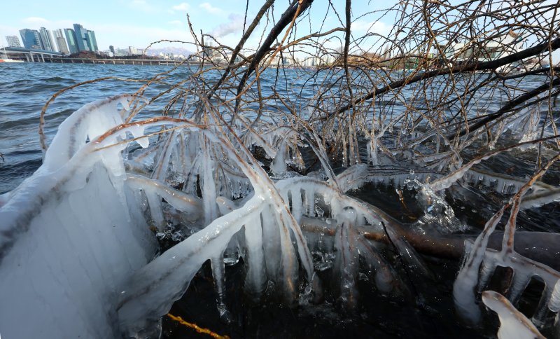 강원도내 11개 시군 한파주의보...평창·중부산지 한파경보