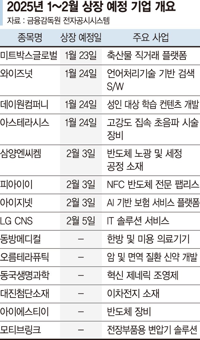 '6조 몸값' LG CNS 온다… '공모주 월척' 잡아볼까