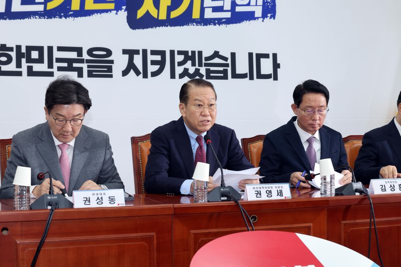 [영상] 권영세, 내란죄 수사는 헌재 판단 뒤에...