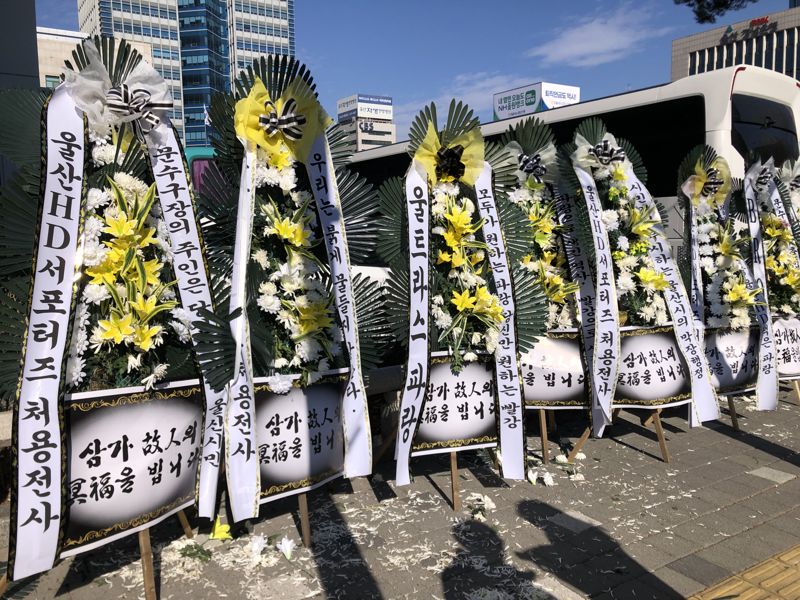 "정치색은 빨강, 울산색은 파랑"…문수구장 색상 변경에 팬들 '발칵'
