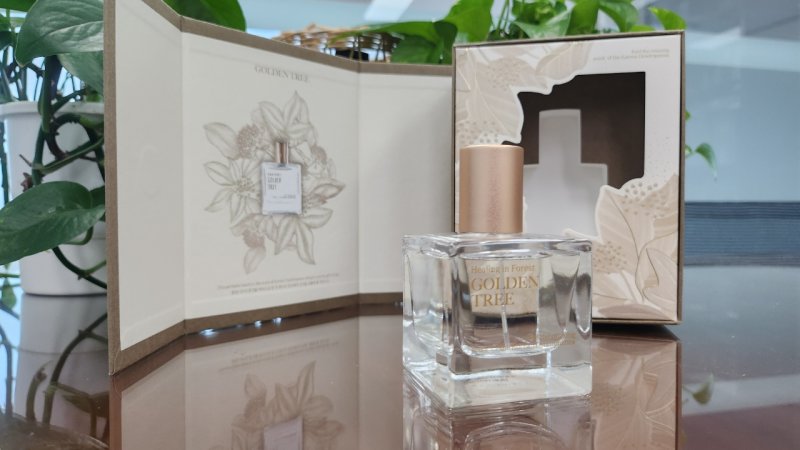 향수 하나로 황칠나무숲 온듯 "마음 안정효과"