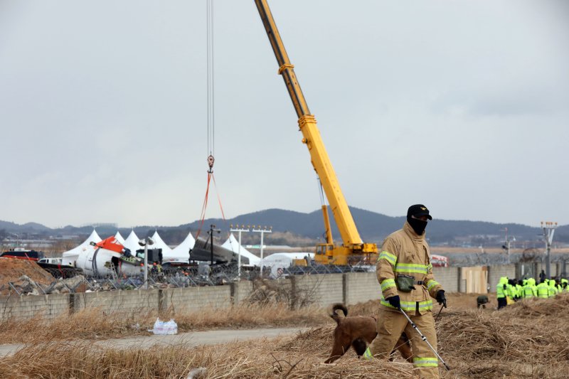 15일 오전 전남 무안국제공항 참사 현장에서 항공·철도사고 조사위원회 관계자들이 기체 잔해를 수습하는 가운데 소방관이 수색견과 인근을 둘러보고 있다. 2025.1.15/뉴스1 ⓒ News1 박지현 기자