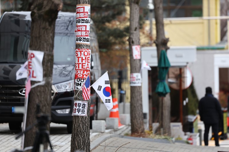 "야, 중국말 해 봐"… '임신' 추정 中여성 尹지지자들에 폭행 의혹