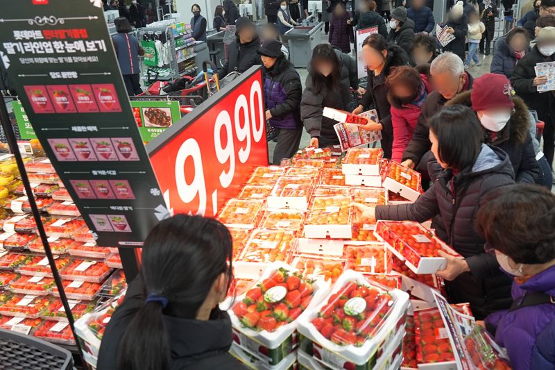 16일 서울 강동구에 문을 연 롯데마트 천호점에서 고객들이 딸기를 구매하고 있다. 롯데마트 제공