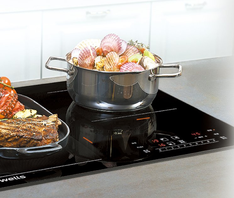 웰스 전기레인지교원 웰스 제공