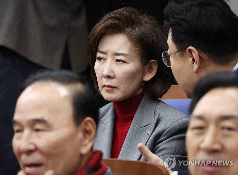 비상의총 참석한 나경원 의원 (출처=연합뉴스)