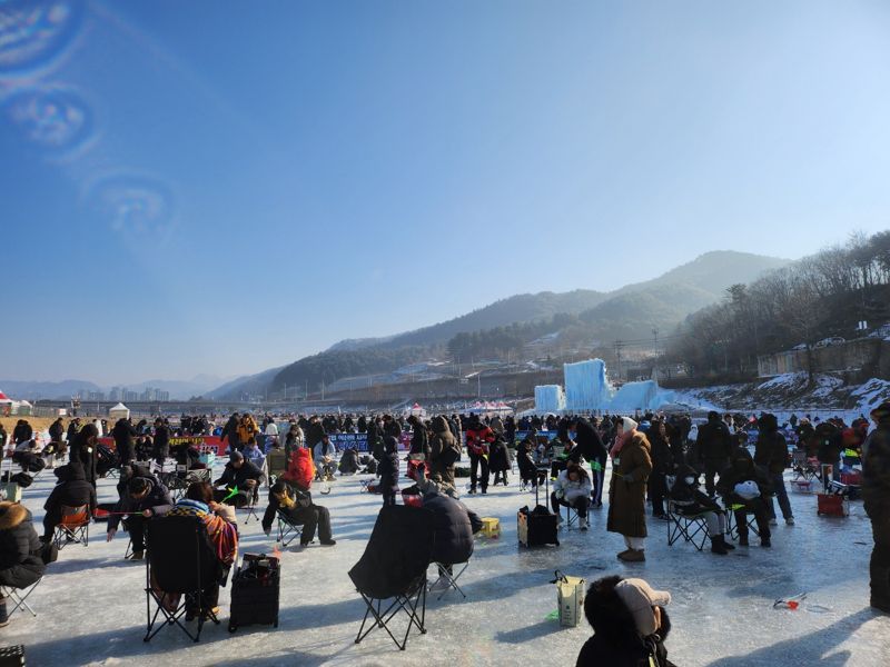 "인삼 먹은 송어 홍천으로 드시러 오세요"...홍천강 꽁꽁축제 개막