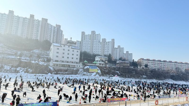 "인삼 먹은 송어 홍천으로 드시러 오세요"...홍천강 꽁꽁축제 개막