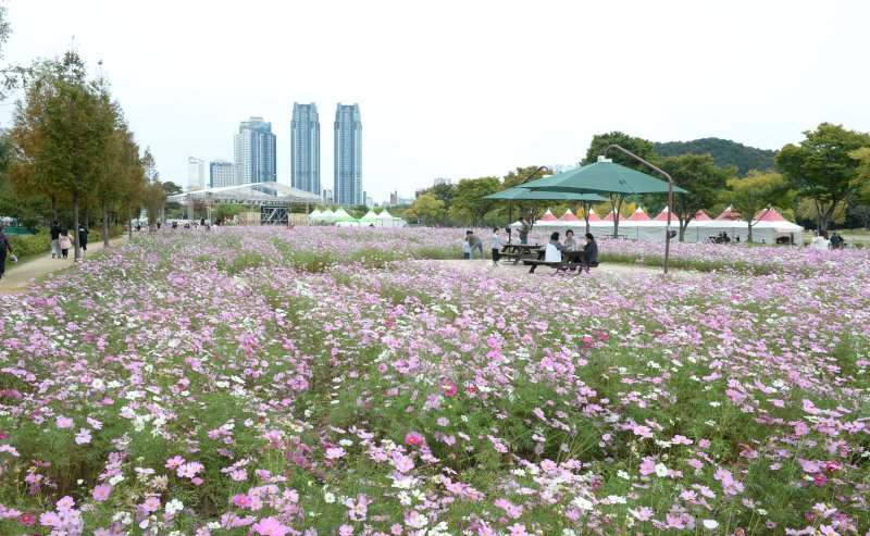 [울산=뉴시스] 배병수 기자 = 27일 울산 중구 태화강 국가정원일원에서 '2024 태화강 국가정원 가을축제'가 열리고 있다. 2024.10.27.bbs@newsis.com.