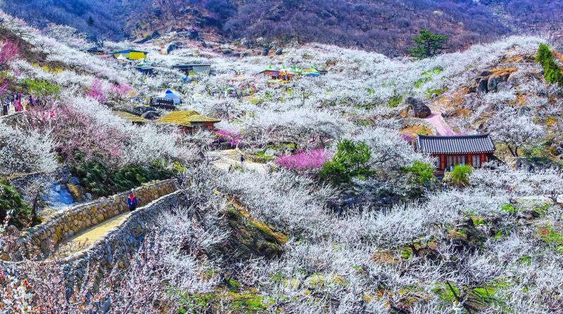전남 8개 관광명소 '2025~2026 한국관광 100선'에 뽑혀