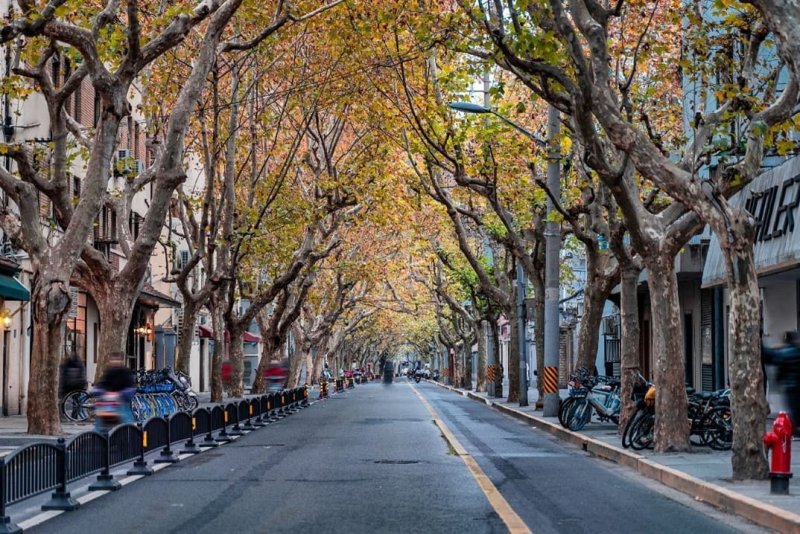 프랑스 조계지로 알려진 우캉루(트립닷컴 제공)