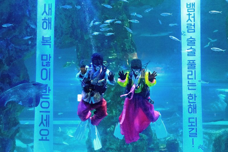 긴 설 연휴, 온 가족 즐길거리 다 있는 롯데월드타워 가볼까