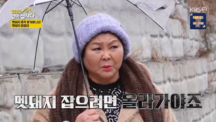 이순실, 멧돼지 출몰 경고에도 "산 올라야지" 호통 [RE:TV]