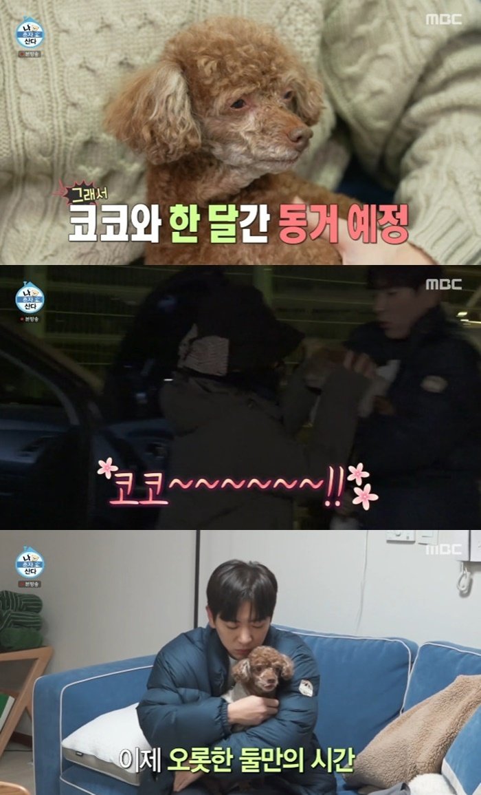 이주승 "母, 베트남 출국…반려견 코코와 한달 동거 예정"