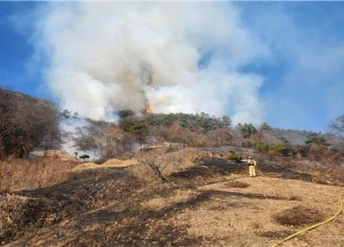 장성 야산 산불 현장 (출처=연합뉴스)
