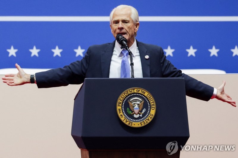 피터 나바로 백악관 무역·제조업 고문 (출처=연합뉴스)