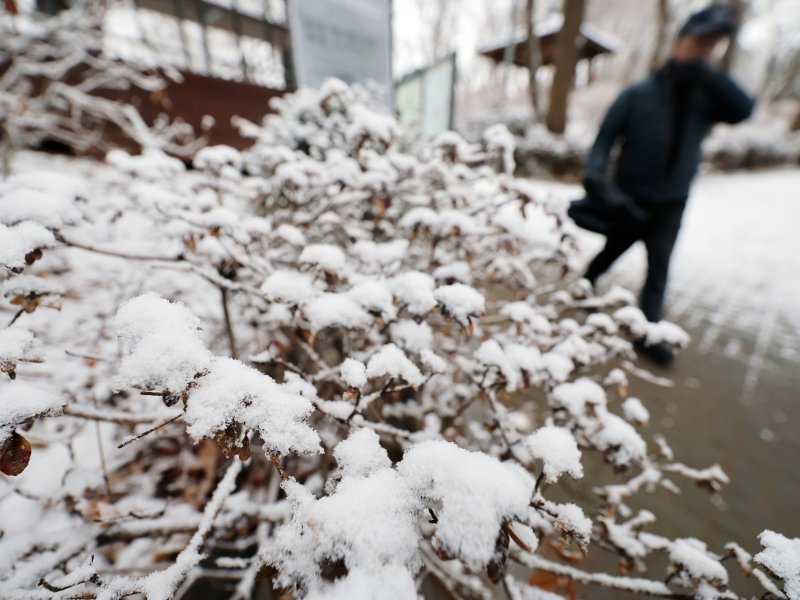 설 명절 연휴 사흘째이자 대설특보가 발효된 27일 오전 서울 백련근린공원에서 시민이 둘레길을 걷고 있다. 2025.1.27/뉴스1 ⓒ News1 황기선 기자