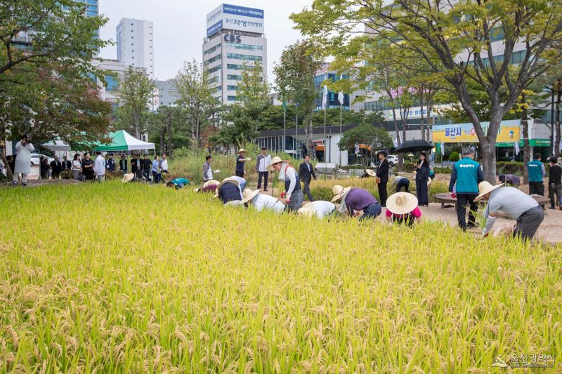올해 면적직불금 5% 인상.. 울산시 공익직불금 신청 접수 시작