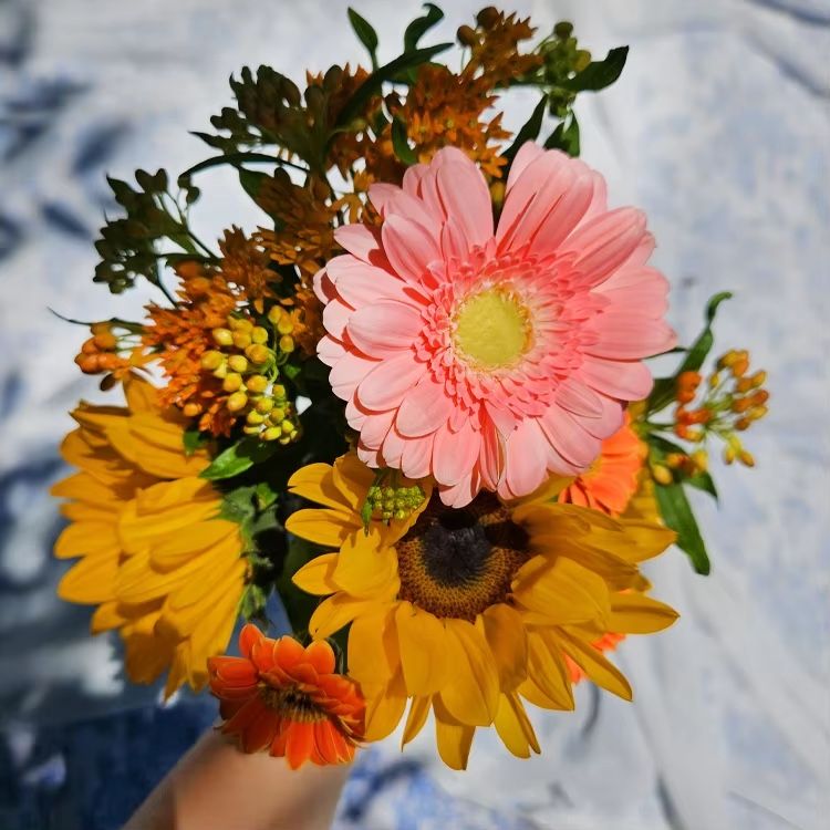 졸업식 꽃다발이 6900원?..C커머스, 생화까지 공격 마케팅
