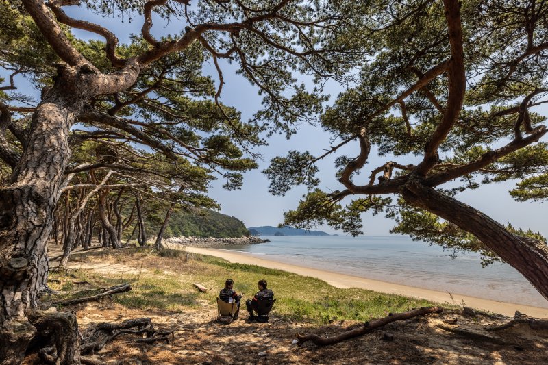 인천 덕적도 '일일 육지 생활권' 편입 눈앞…새 차도선 7월 운항 - 파이낸셜뉴스