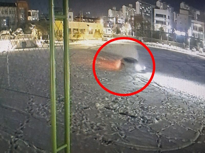 15억 들여 잔디 깔아놨는데..설날 침입, '드리프트'한 운전자