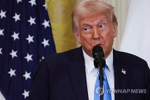 도널드 트럼프 미국 대통령 /사진=연합뉴스