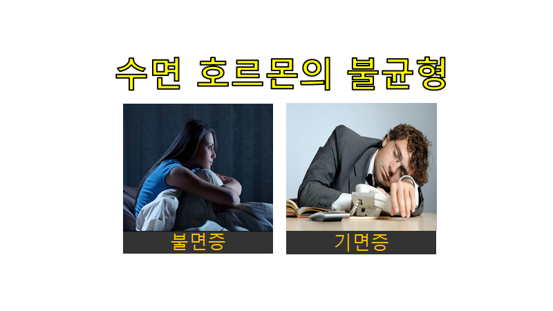 [안철우 교수의 호르몬 백과사전] 현대인의 멜라토닌 분비량, 괜찮을까?