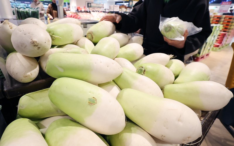 6일 오후 서울의 한 대형마트를 찾은 한 시민이 무를 구매하고 있다. 2025년 1월 소비자물가동향에 따르면 지난달 소비자물가는 전년동월대비 2.2% 올라 다섯 달 만에 다시 2%대로 치솟았다. 특히 4.4% 오른 채소류 물가가 물가 상승을 견인한 가운데 품목별로 무 79.5%, 당근 76.4%, 배추 66.8% 순으로 올랐다. 2025.2.6/뉴스1 ⓒ News1 김진환 기자