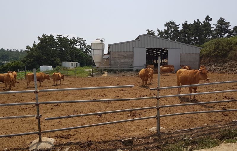 전남도, 올해 2596억원 들여 환경친화 축산업 경쟁력 높인다