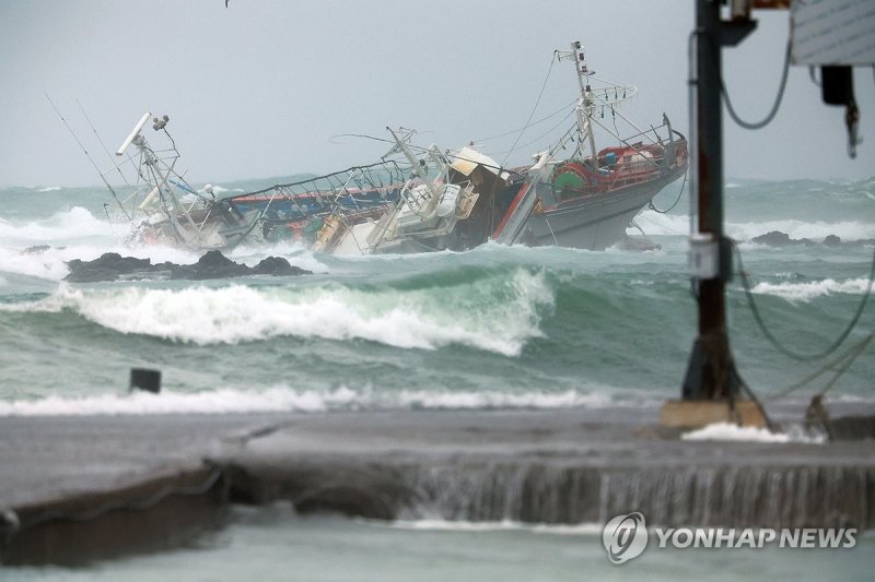 어선 안전대책 세우고도 작년만 119명 사망·실종…52% 급증