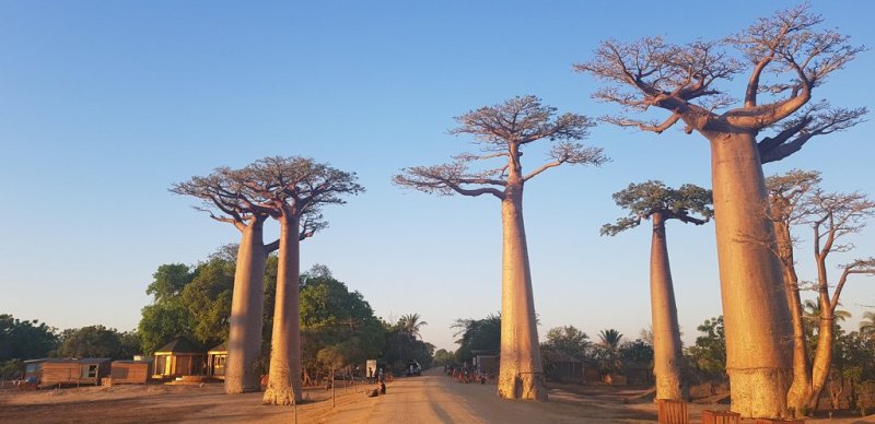 마다가스카르서 한국인 선교사 2명 사망..외교부 “영사 조력”