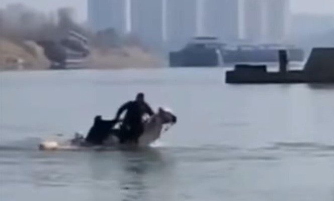 "'백마 탄 왕자' 등장"…비명 소리에 주저없이 뛰어든 39세男