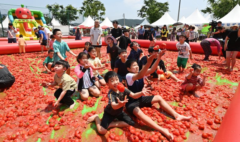 [경기 광주=뉴시스] 제21회 퇴촌 토마토축제. (사진=뉴시스 DB). photo@newsis.com
