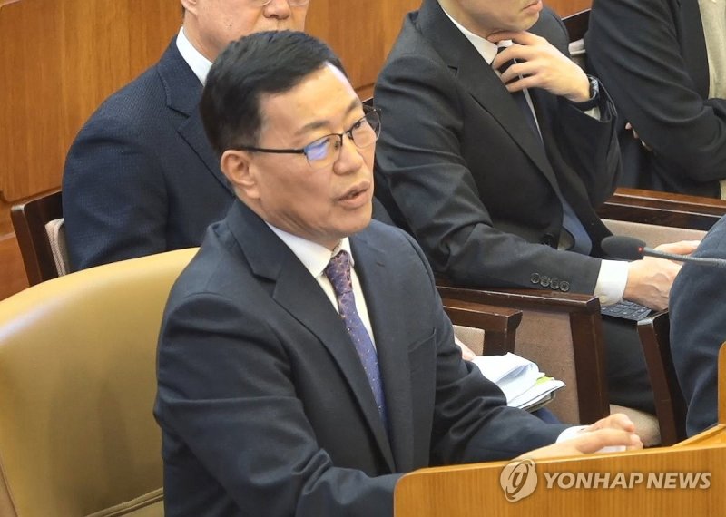 발언하는 백종욱 전 국가정보원 3차장 (출처=연합뉴스)
