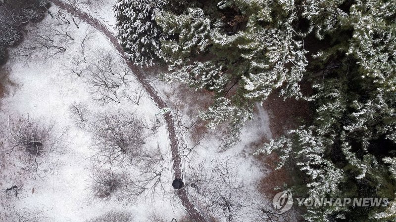 눈 내린 창원 (출처=연합뉴스)