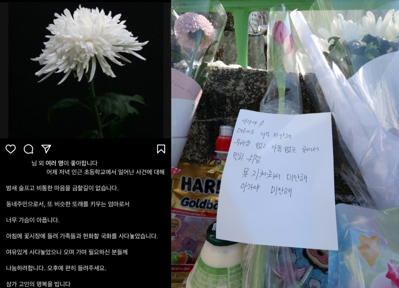 [서울=뉴시스] 교사가 휘두른 흉기에 찔려 사망한 김하늘(8) 양을 추모하는 지역 사회 분위기가 이어지는 가운데 인근 꽃집 사장 A씨가 '국화 나눔'을 하겠다고 나섰다.(왼쪽‧인스타그램 캡처). 11일 오후 사건이 발생한 대전 서구 관저동의 한 초등학교 정문 옆 담장에 추모 국화꽃과 문구가 놓여 있다.(오른쪽‧뉴시스 DB). 2025.02.12. photo@newsis.com *재판매 및 DB 금지