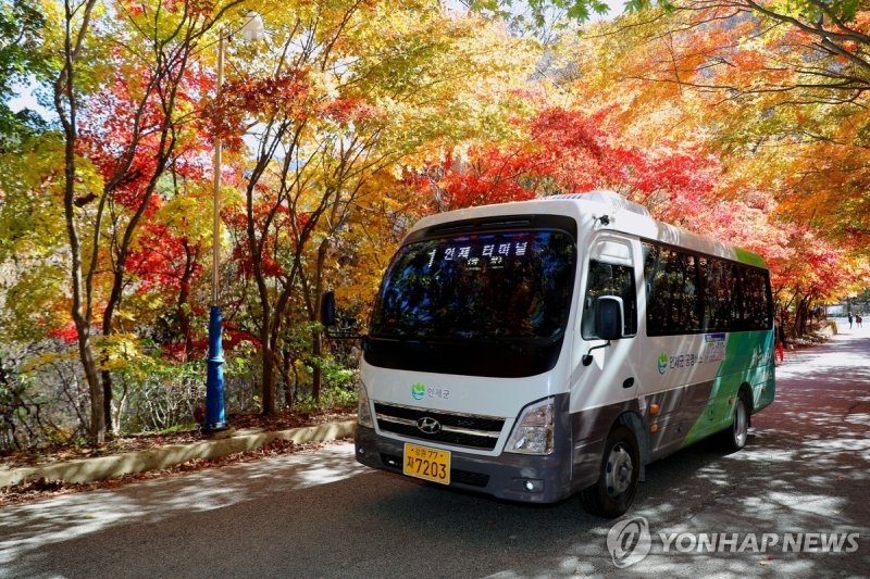 인제군 마을버스 (출처=연합뉴스)