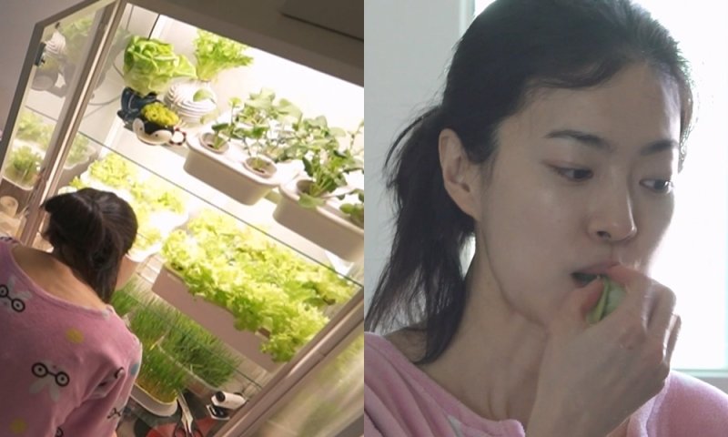 '나혼자산다' 옥자연, 네이처 하우스 공개…식물장에 채소 재배까지