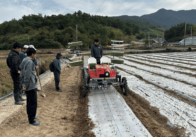 전남도, 마늘·양파 가격 및 수급 안정 관리 온 힘