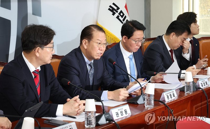 비상대책위원회의에서 발언하는 권영세 비대위원장 (출처=연합뉴스)