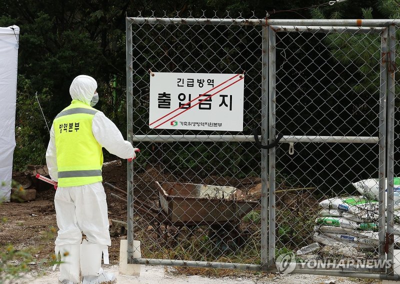 ASF 방역 (출처=연합뉴스)