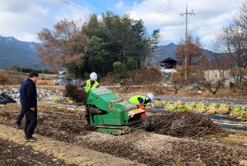 [곡성=뉴시스] 전남 곡성농업기술센터, 영농부산물 파쇄지원단 운영. (사진=곡성군청 제공). photo@newsis.com *재판매 및 DB 금지