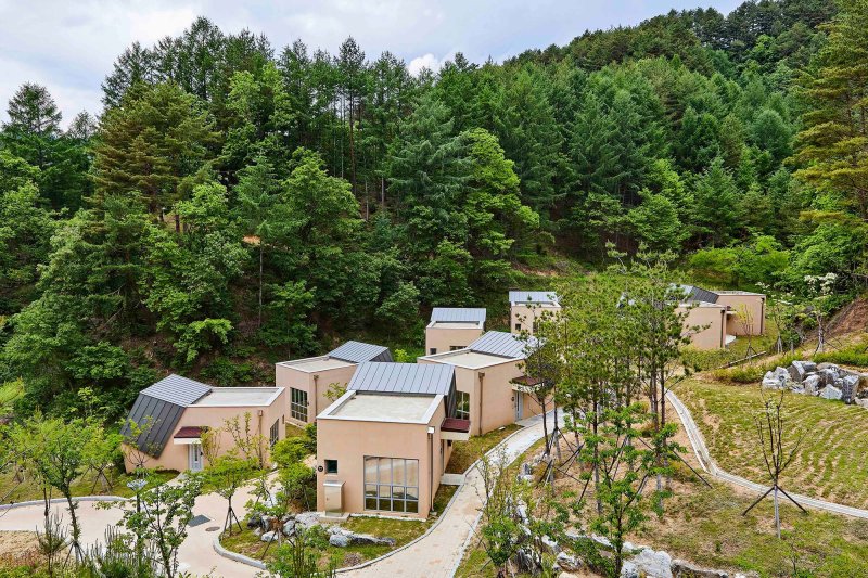 쪄먹고 비벼먹고 끓여먹고… 속 꽉 찬 대게가 '푸지게 한상' [Weekend 레저]