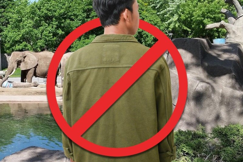 [서울=뉴시스] 일본의 한 동물원이 불순한 의도로 접근하는 남성 방문객을 차단하기 위해 남성의 단독 방문을 금지하는 조치를 취했다. (출처=SCMP) 2025.02.13. photo@newsis.com *재판매 및 DB 금지 /사진=뉴시스