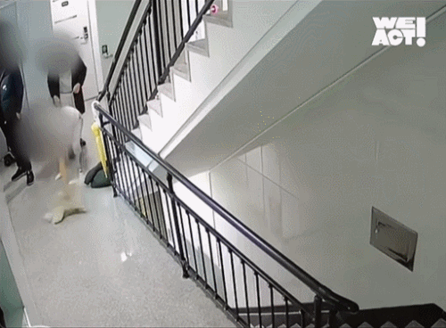 /사진=동물구조단체 사단법인 위액트 인스타그램 갈무리