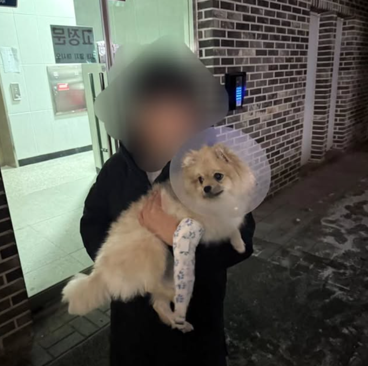 /사진=동물구조단체 사단법인 위액트 인스타그램 갈무리