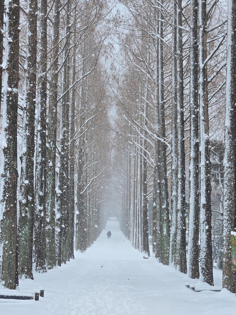 전남산림연구원 '빛가람 치유의 숲' 산림복지 서비스 평가서 우수상