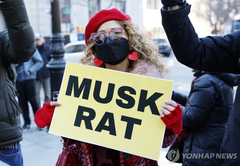 트럼프 정부 자문기구인 '정부효율부'의 수장인 머스크를 비판하는 시위대 (출처=연합뉴스)